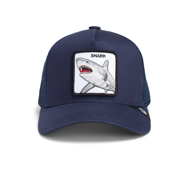 Saltwater Surf Shop Gooring Bros The Shark