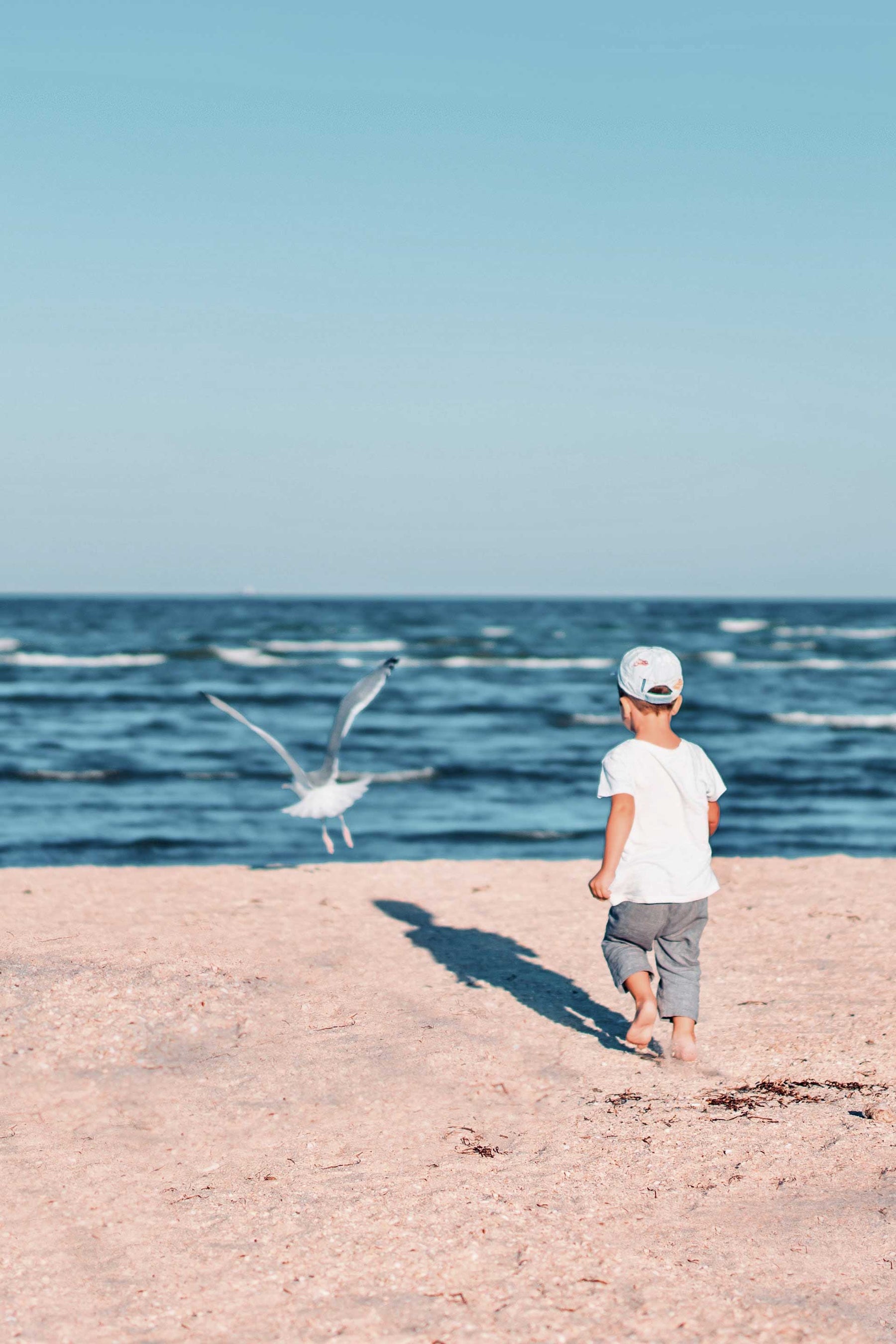 Kid is running on the beach and chases a seagull.